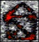 Aktuelles